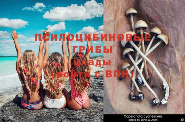 COCAINE Алексеевка