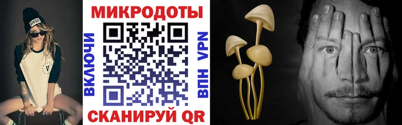 цена   Неман  Галлюциногенные грибы GOLDEN TEACHER 